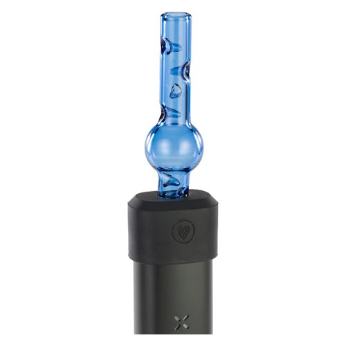 pax accessory adapter with globe glass